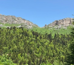 Однокомнатный люкс без балкона в Black Rock Garden