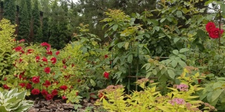 Тула: Мини-отель Гостевой дом