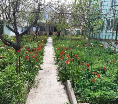 Студия на мансарде в Тамара