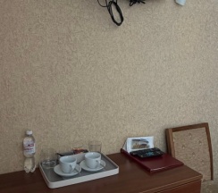 Двухместный номер Стандарт (2 отдельные кровати) в Дмитриевская