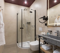 Стандарт с двуспальной кроватью в Berry Hotel&Spa 4*