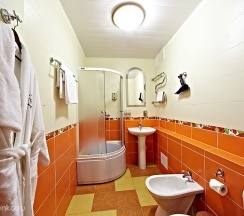 Люкс (DBL) в Центральная