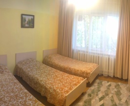 Трехместный номер в Байкальский лучик