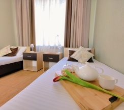 2-х местный стандарт  в Центральная