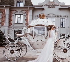 Business Twin в Графский парк