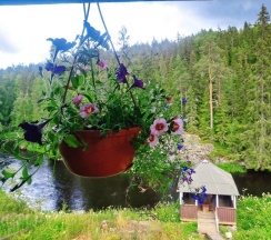 Домик у реки в Хекселя