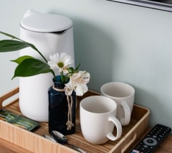 Люкс в Приозерный