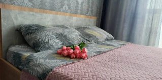 Рязань: Апартаменты Квартира рядом с Теннисной академией