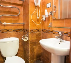 Бизнес одноместный в Амакс