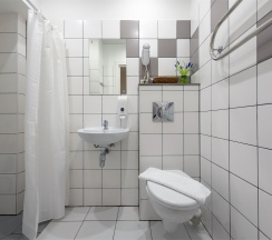 Стандарт вид на крыши DBL/TW, объект А1 в A1
