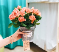 Отдельный номер Уютный с собственным умывальником в Ваш миниотель