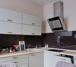 1-комнатные апартаменты люкс с 1 двуспальной кроватью в RentPlaza (РентПлаза) на улице Шейнкмана