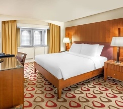 Двухместный номер Premium двуспальная кровать в Radisson Blu Hotel, Jeddah