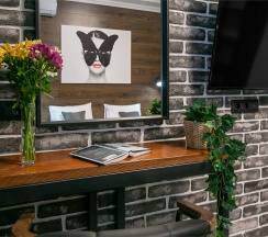 Апартамент "Люкс" в Giorgio-haylaz-home