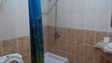 Одноместный номер Economy в Golden Rose Hotel