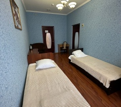 Люкс двухкомнатный без балкона в Николаевский