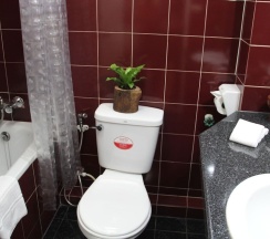 Одноместный номер Executive в BS Court Boutique Residence