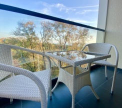 Студия Комфорт с балконом и видом на парк Дендрарий Метрополь (48) в Метрополь рэнт-апарт