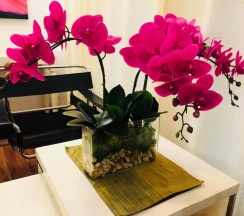 Двухместный номер Standard двуспальная кровать в Baipho Lifestyle