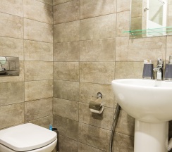 Двухместный стандарт в Аристоль