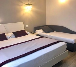 Двухместный номер Superior двуспальная кровать в Hotel Ariston
