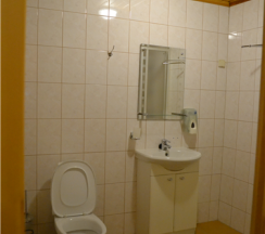 номер люкс №21,22 мансарда в Green village