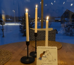 Дубльдом Moomin House GREY №75 в Dubldomovo vazuza
