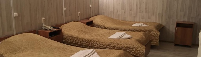 3-местный номер стандарт в Лианозовский