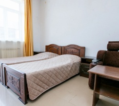 Двухместный номер Standard с балконом 2 отдельные кровати в Арго