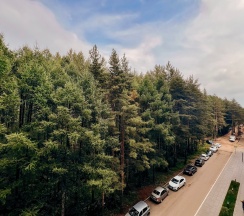 Квартира в Privi House