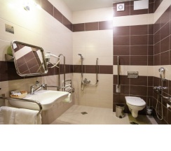 Одноместный стандарт для людей с ограниченными возможностями в Bishotel