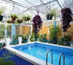 Люкс с бассейном в Александр