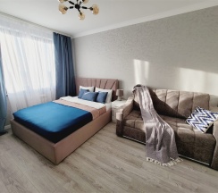 ул. Минаева 48а - 265 в Симбирские апартаменты