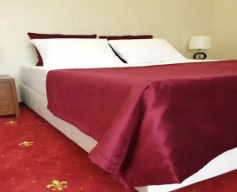 Двухместный полулюкс двуспальная кровать в Абхазия