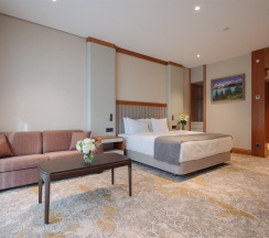 2-комнатный номер люкс с 1 двуспальной кроватью в Источник