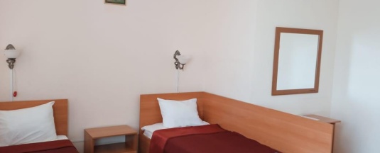 Номер эконом с 2 односпальными кроватями в Smart Hotel KDO Курган