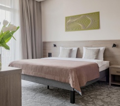 2-комнатный номер люкс с 1 двуспальной кроватью в GreenGate Hotel&SPA