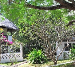 Двухместный номер Standard двуспальная кровать в Barracuda Inn Resort