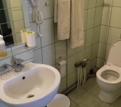 Комната стандарт с 1 двуспальной кроватью (с завтраком) в Villa Zastava