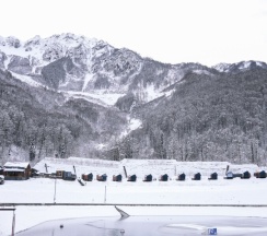 Коттедж в Эндемик