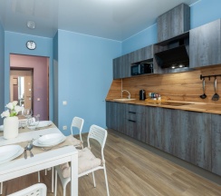 1-комнатные апартаменты люкс в RentPlaza (РентПлаза) на улице Гастелло