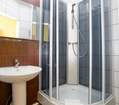 1-местный номер эконом в Астория