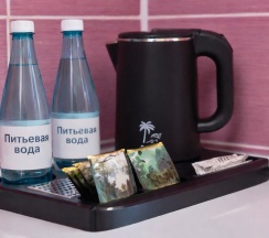 Стандарт семейный ПЛЮС с балконом в Диса