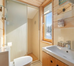 Дубльдом на Оке № 81 в Гуляй-город