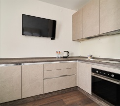 Studio Business в Radius Central House by Огни Rent