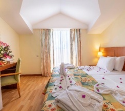 Двухместный номер Standard двуспальная кровать в Viking Park Hotel