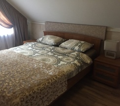 Коттедж в Boroviki house