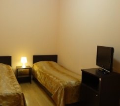 Двухместный номер с 2 отдельными кроватями без окна в Babushka House