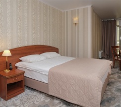 Люкс DBL Бизнес в Пионер люкс