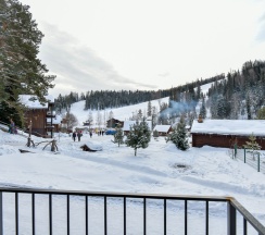 «Сосновый» Стандарт Сингл в Лесная сказка